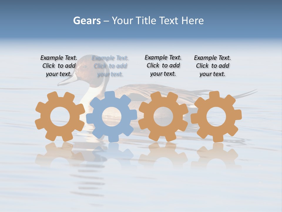 Avian Water Wildlife PowerPoint Template