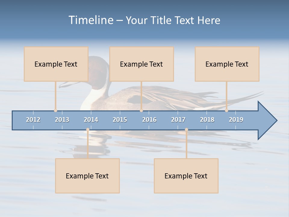 Avian Water Wildlife PowerPoint Template
