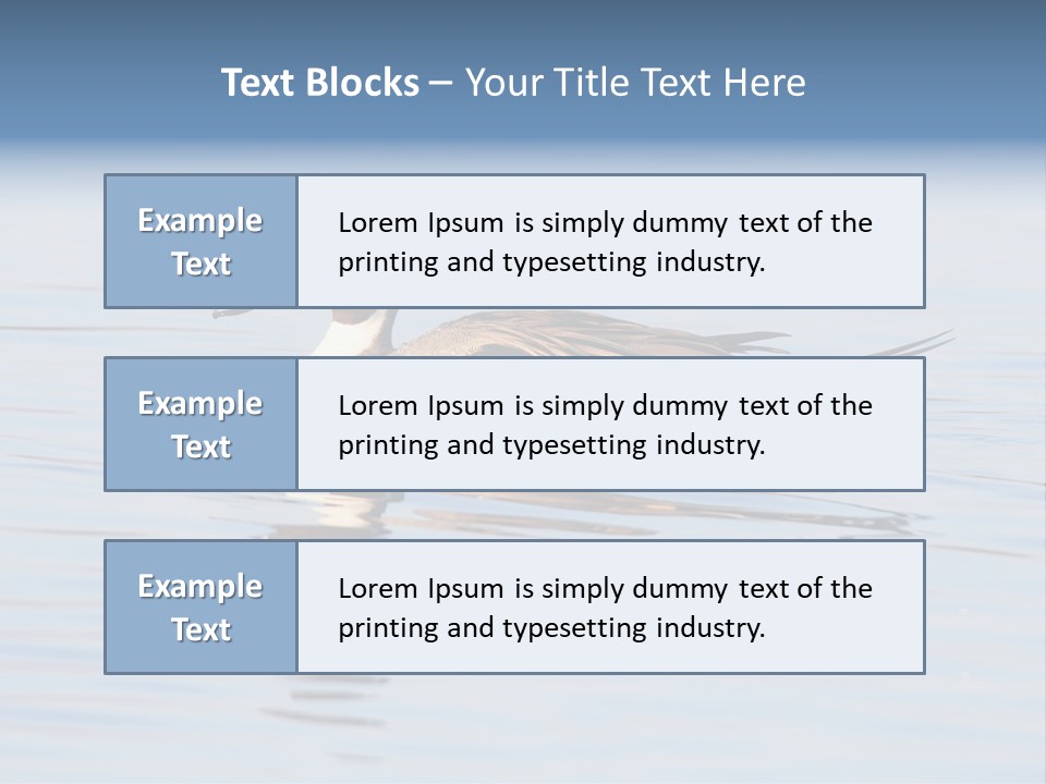 Avian Water Wildlife PowerPoint Template