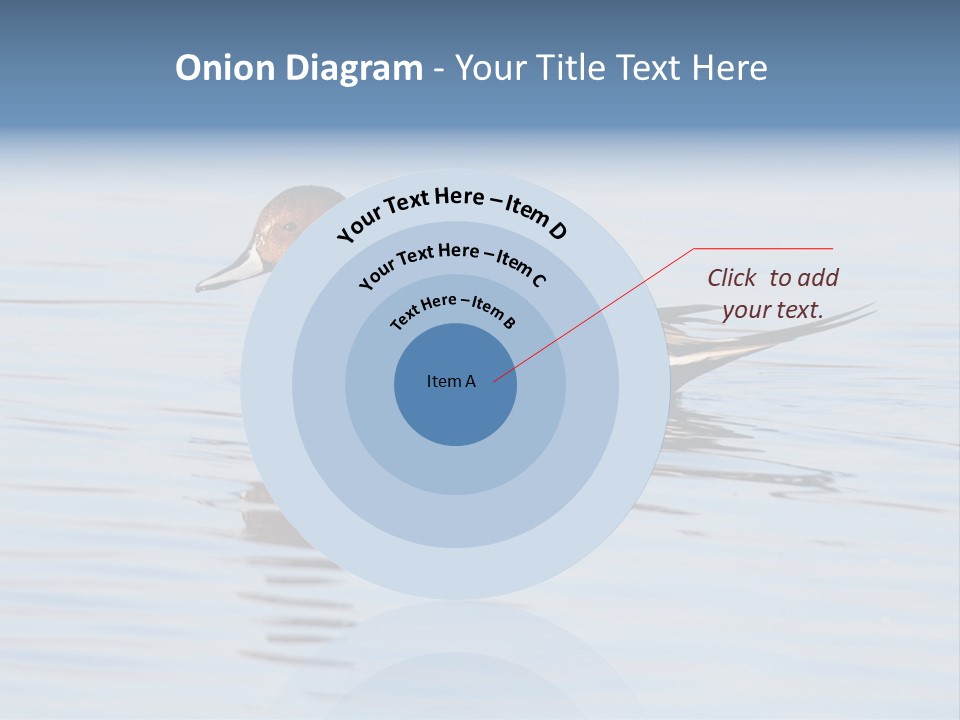 Avian Water Wildlife PowerPoint Template