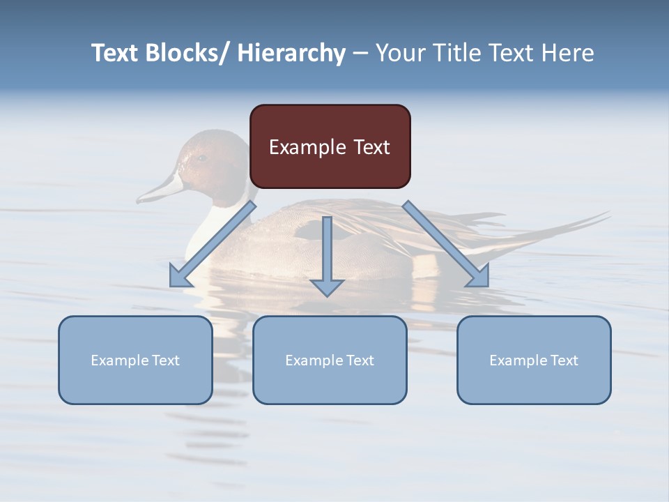 Avian Water Wildlife PowerPoint Template
