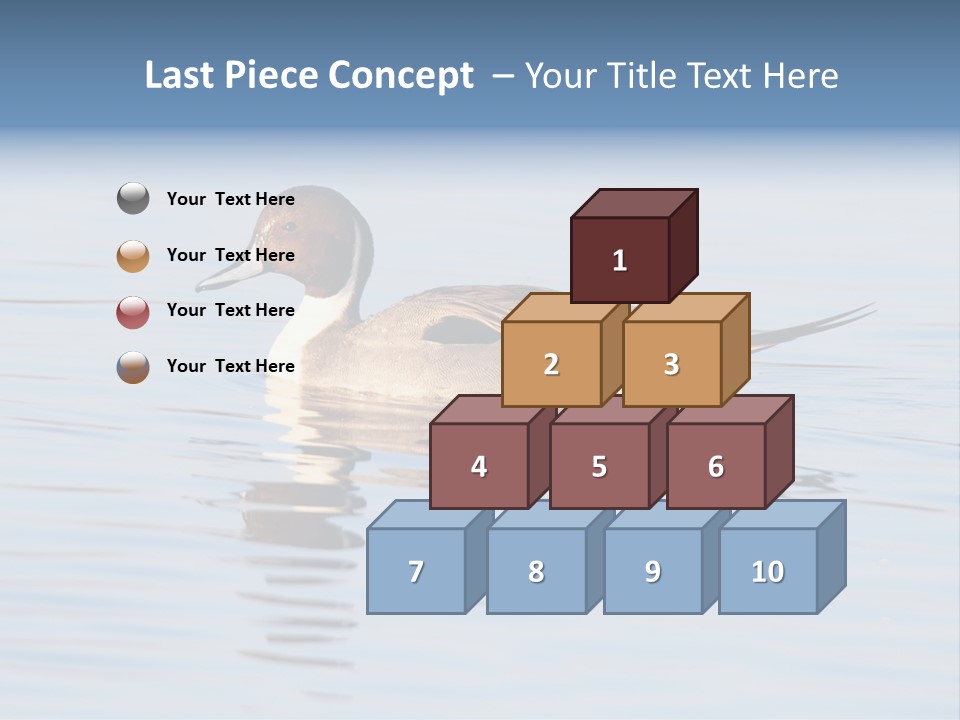 Avian Water Wildlife PowerPoint Template