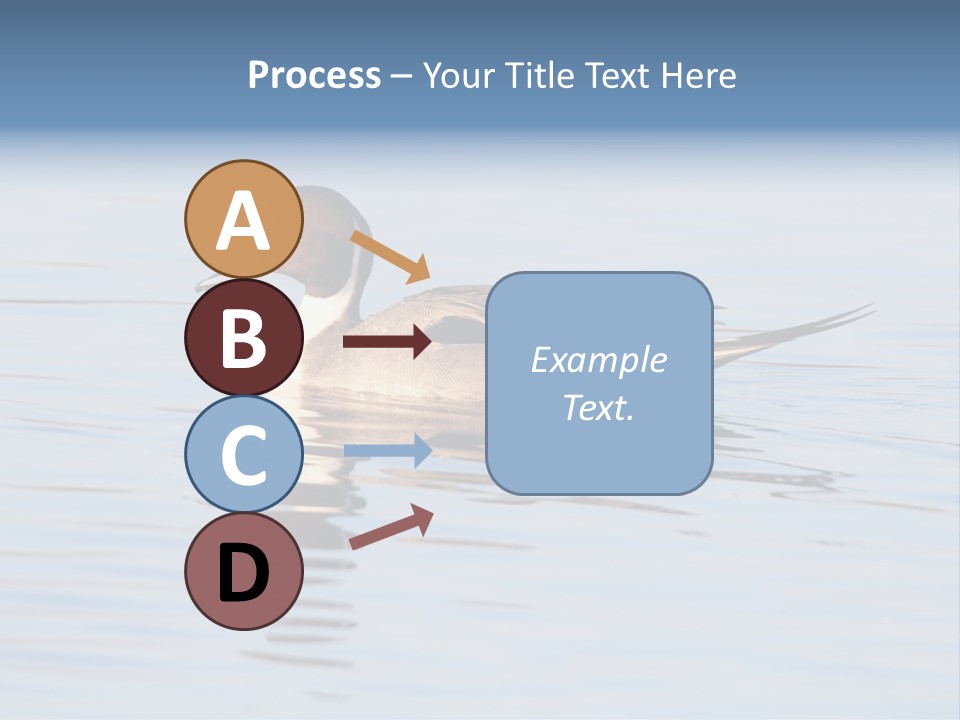 Avian Water Wildlife PowerPoint Template