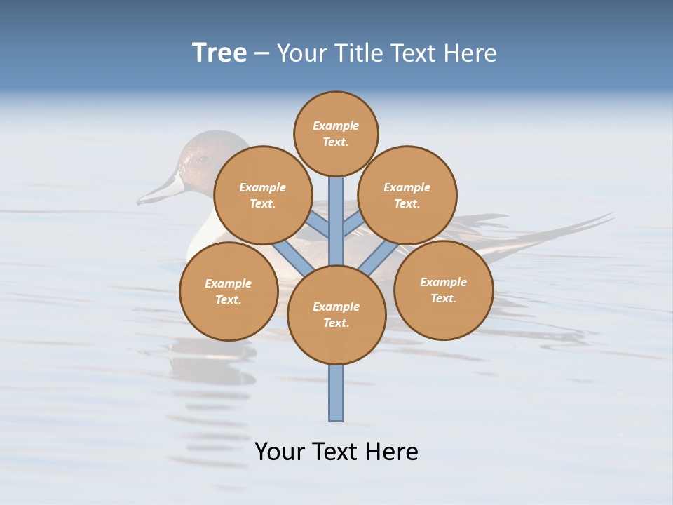 Avian Water Wildlife PowerPoint Template