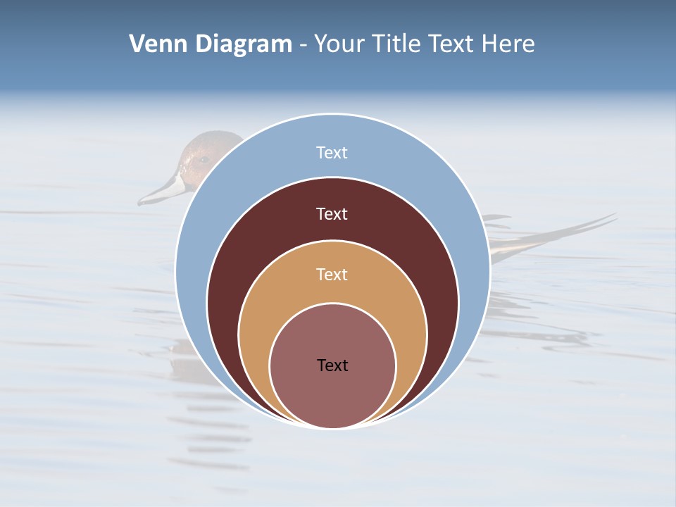 Avian Water Wildlife PowerPoint Template
