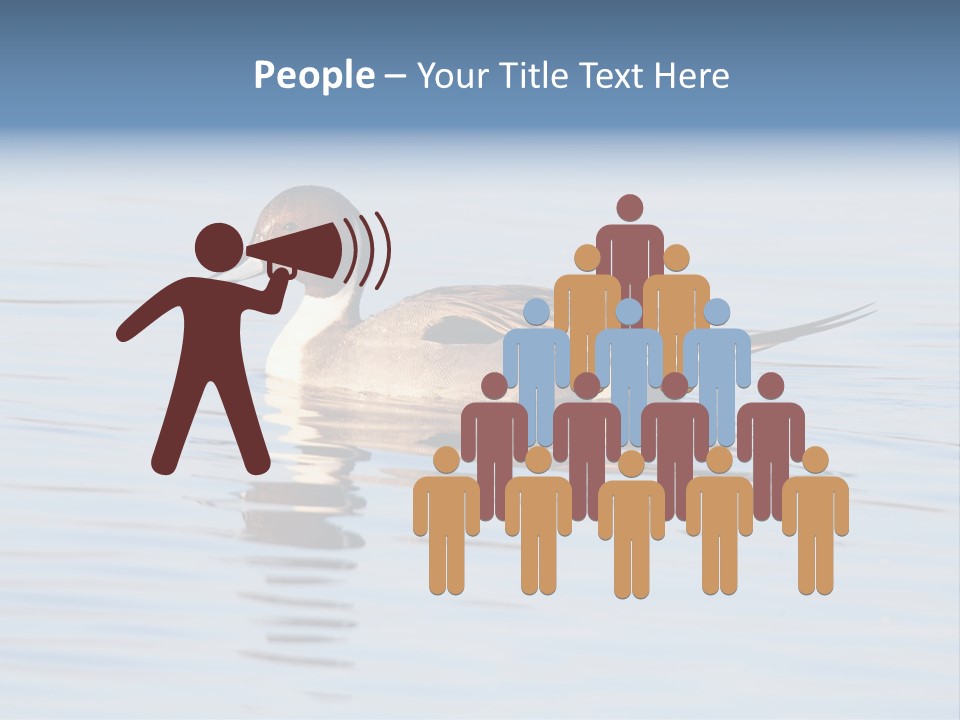 Avian Water Wildlife PowerPoint Template