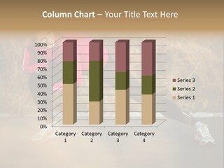 Recreation Outside City PowerPoint Template