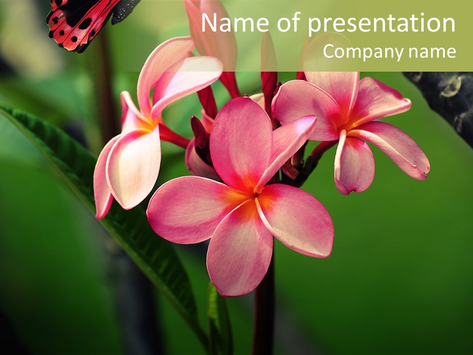 Plant Tropical Flower Selective Focus PowerPoint Template