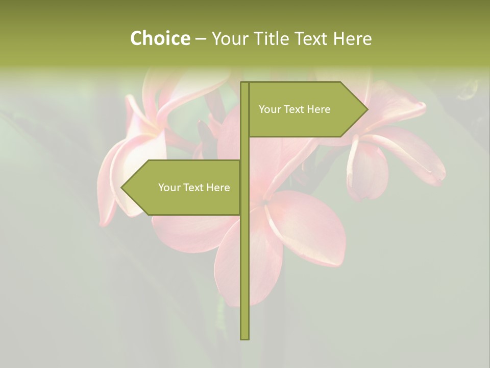 Plant Tropical Flower Selective Focus PowerPoint Template