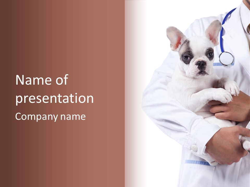 Veterinarian Care Trust PowerPoint Template