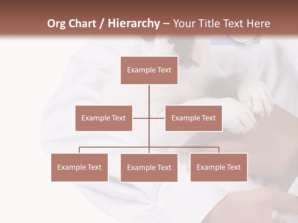Veterinarian Care Trust PowerPoint Template