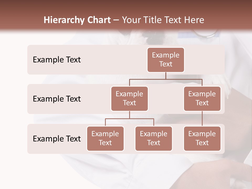 Veterinarian Care Trust PowerPoint Template