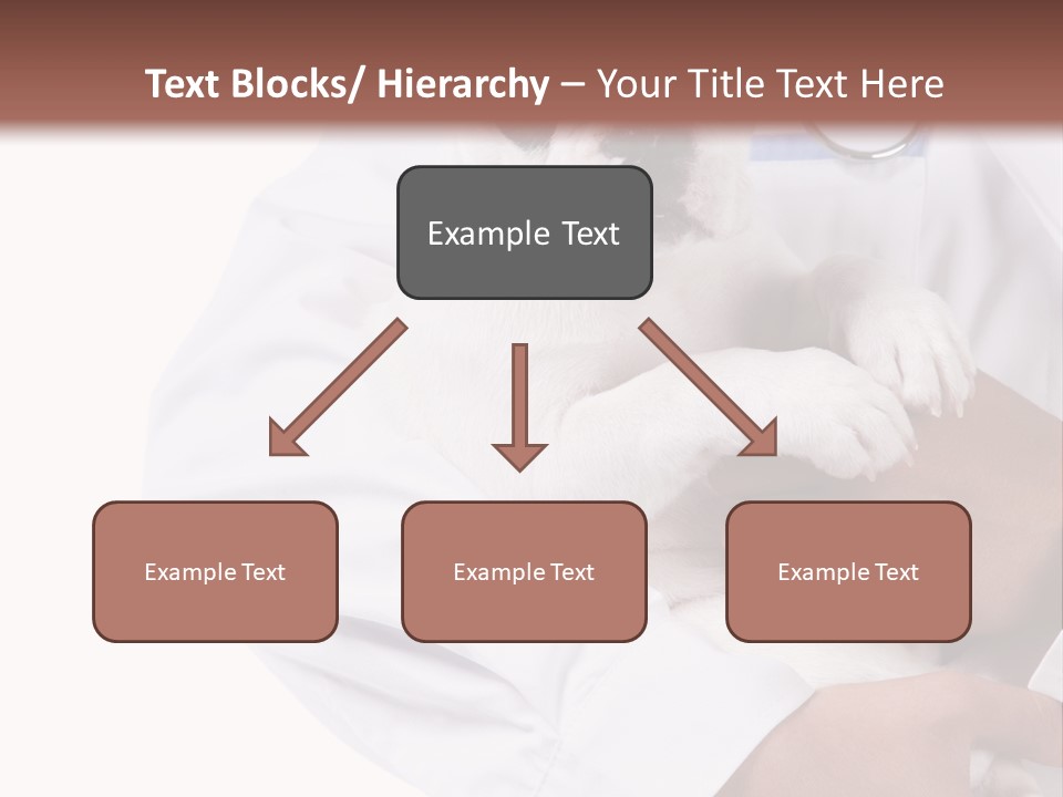 Veterinarian Care Trust PowerPoint Template