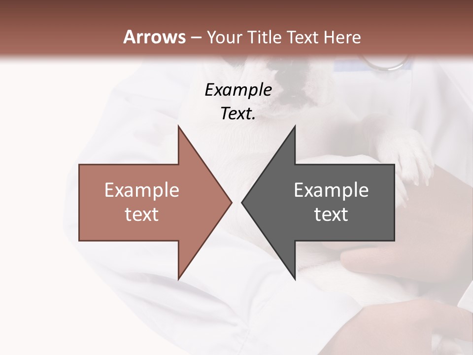 Veterinarian Care Trust PowerPoint Template