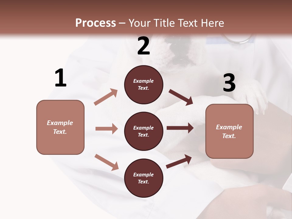 Veterinarian Care Trust PowerPoint Template