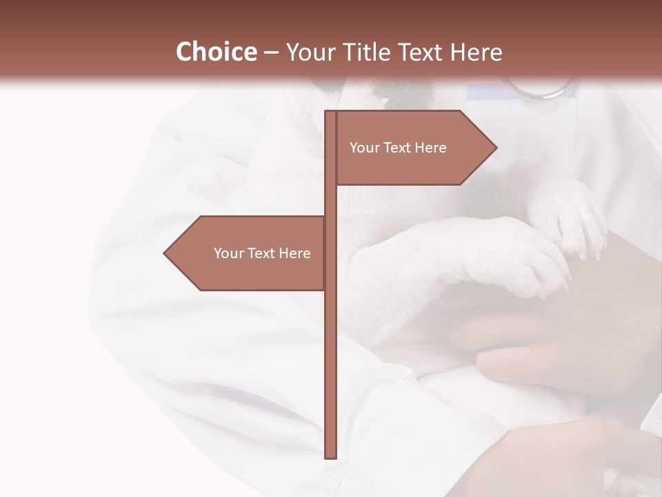 Veterinarian Care Trust PowerPoint Template