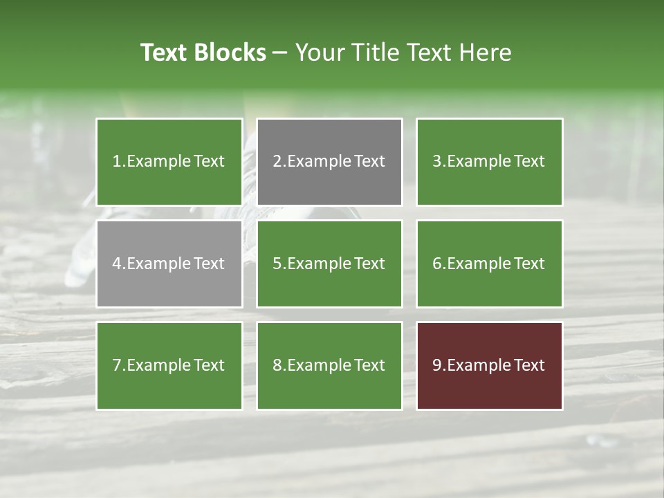 Activity Lake Sidewalk PowerPoint Template