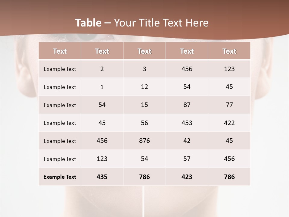 Female Retouch Pretty PowerPoint Template