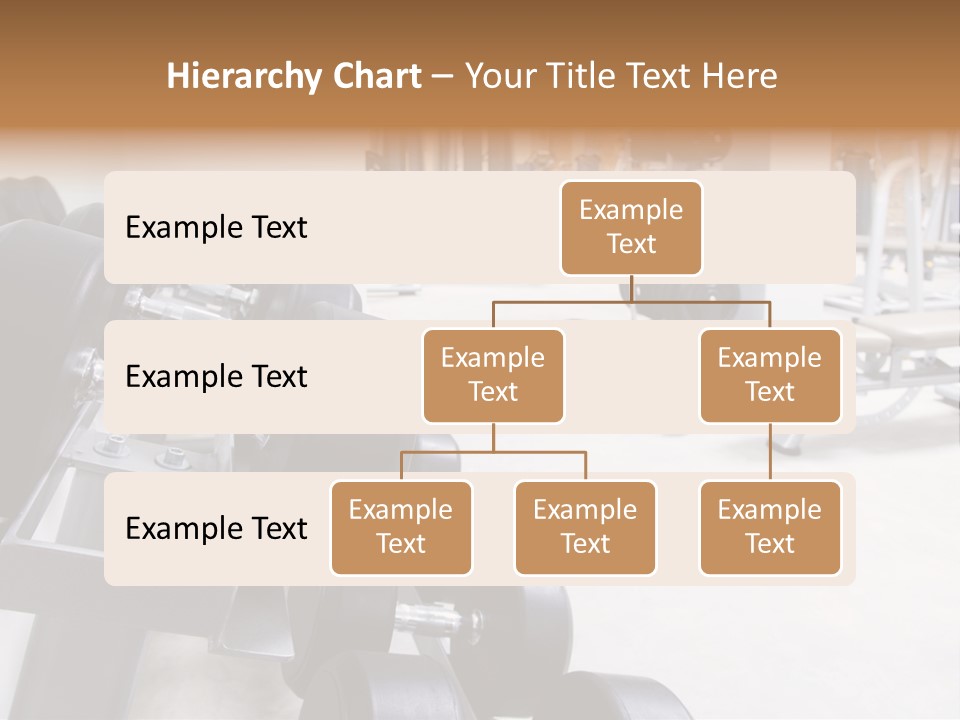 Activity Heart Public PowerPoint Template