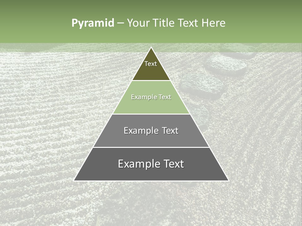 Sand Sacred Illumination PowerPoint Template