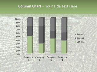 Sand Sacred Illumination PowerPoint Template