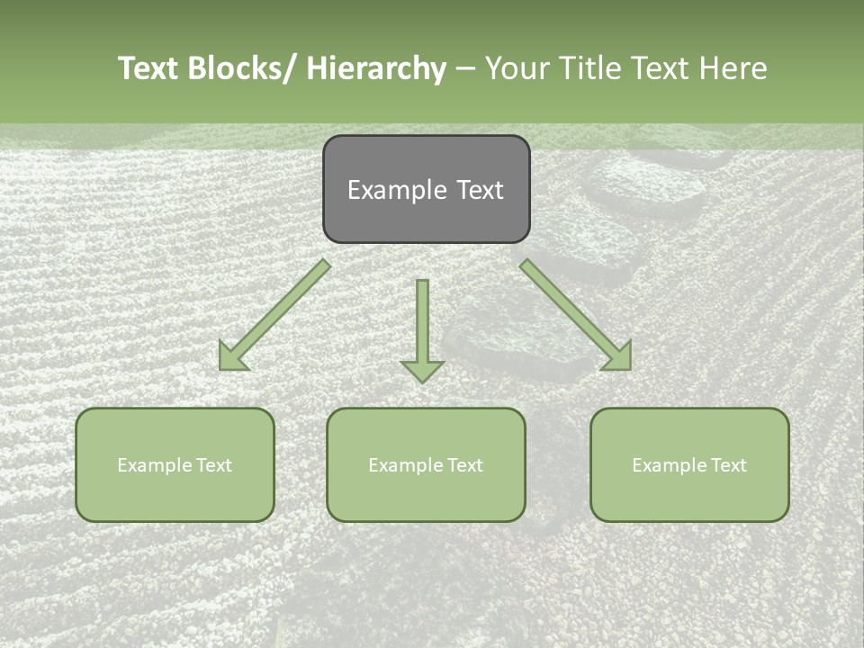 Sand Sacred Illumination PowerPoint Template