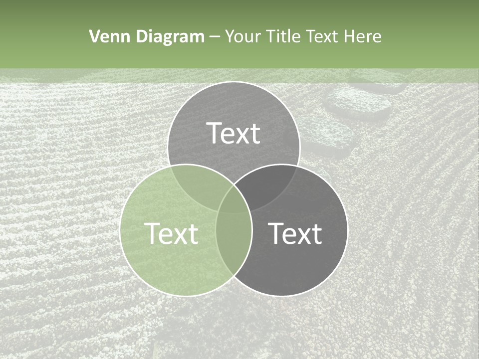 Sand Sacred Illumination PowerPoint Template