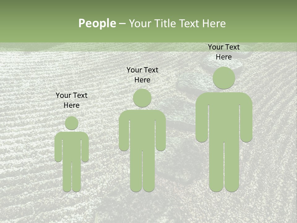 Sand Sacred Illumination PowerPoint Template