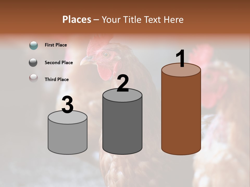 Egg Animal Leg PowerPoint Template