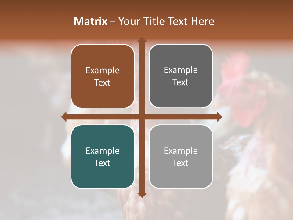 Egg Animal Leg PowerPoint Template