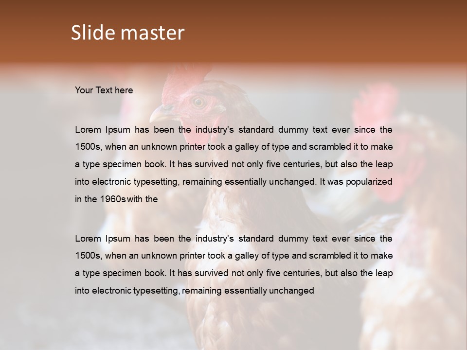 Egg Animal Leg PowerPoint Template