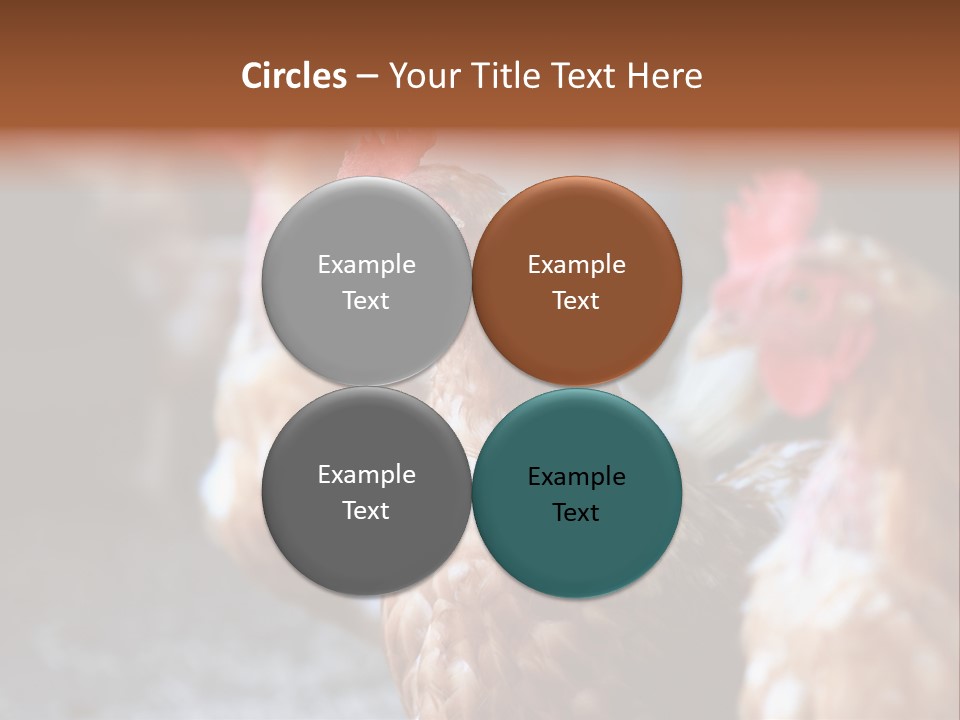 Egg Animal Leg PowerPoint Template