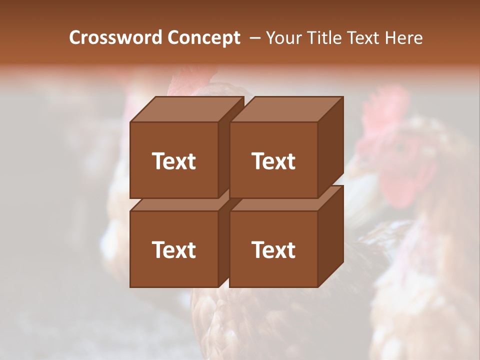 Egg Animal Leg PowerPoint Template