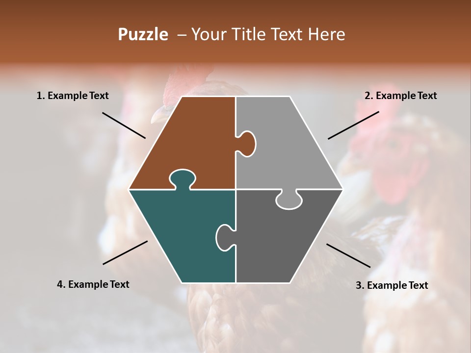 Egg Animal Leg PowerPoint Template