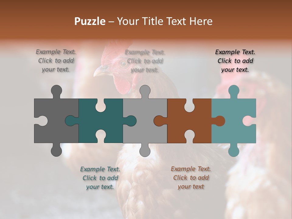 Egg Animal Leg PowerPoint Template
