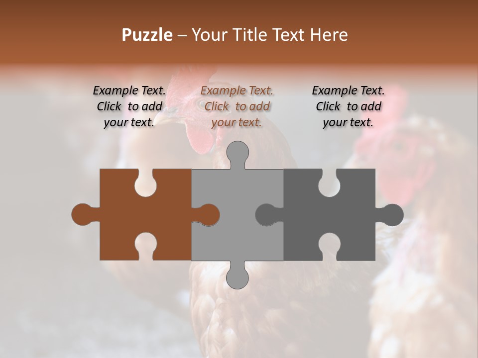 Egg Animal Leg PowerPoint Template