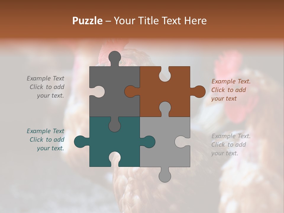 Egg Animal Leg PowerPoint Template