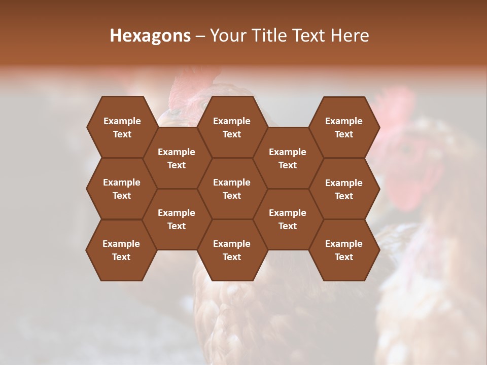 Egg Animal Leg PowerPoint Template