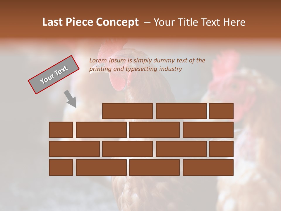Egg Animal Leg PowerPoint Template