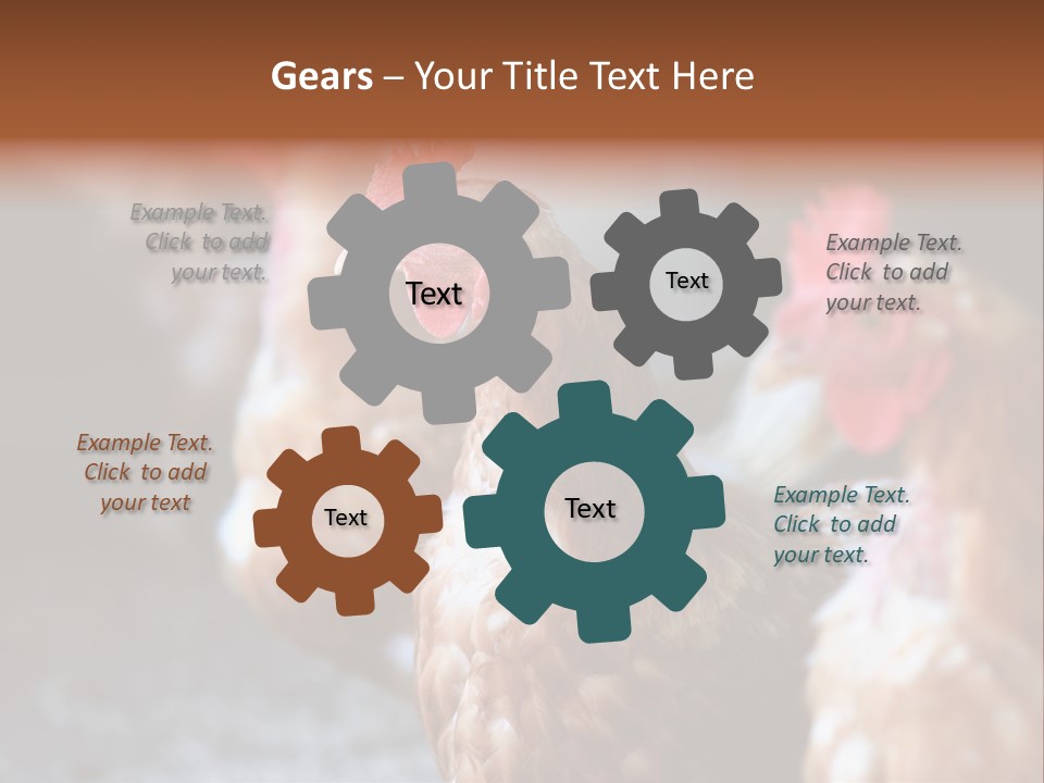 Egg Animal Leg PowerPoint Template