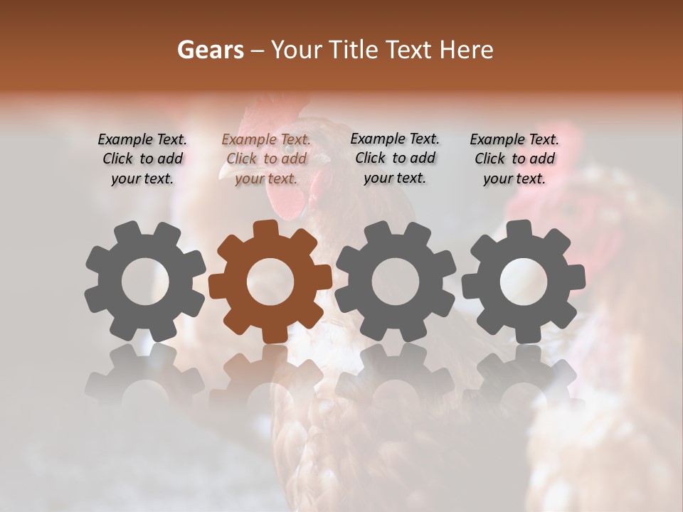 Egg Animal Leg PowerPoint Template