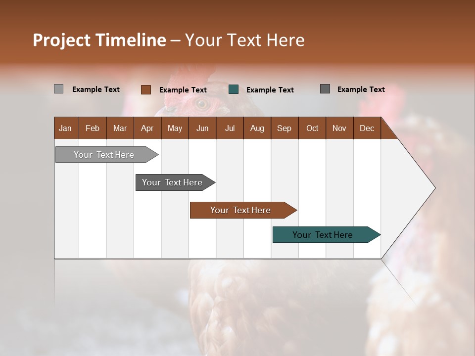 Egg Animal Leg PowerPoint Template