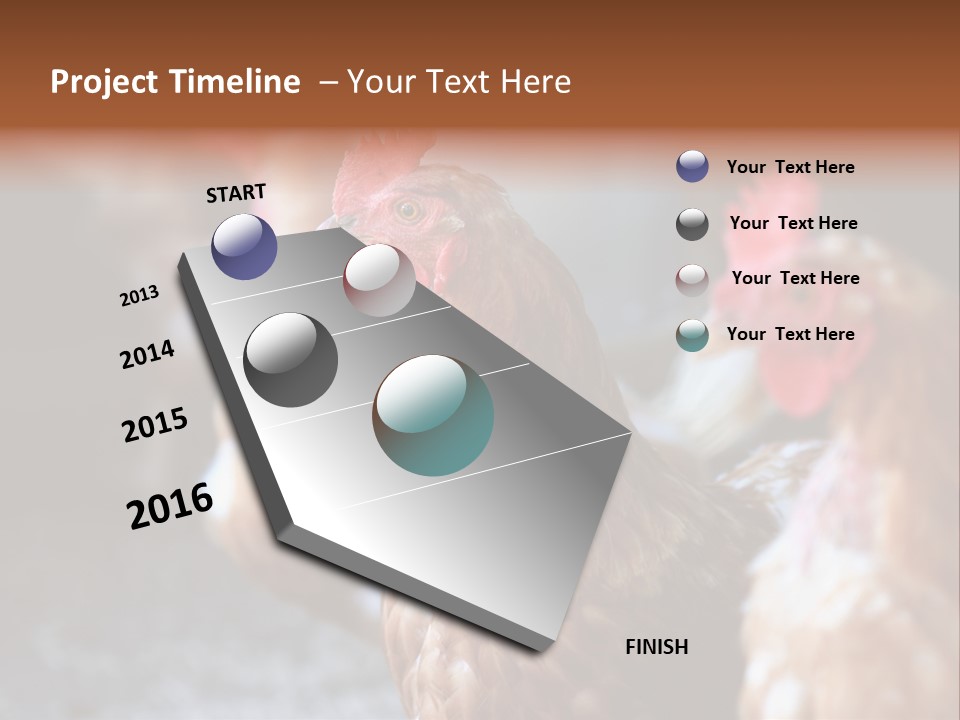 Egg Animal Leg PowerPoint Template