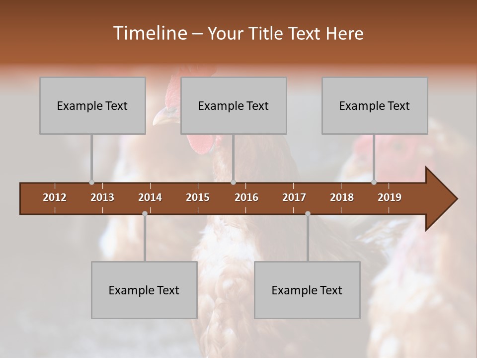 Egg Animal Leg PowerPoint Template