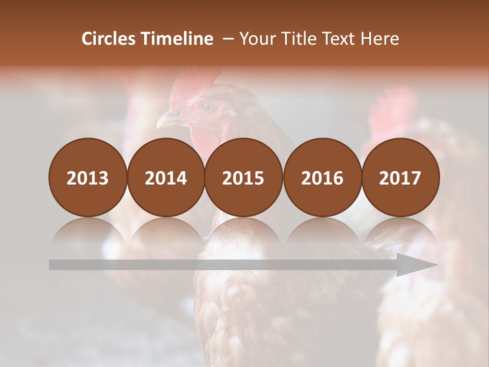 Egg Animal Leg PowerPoint Template