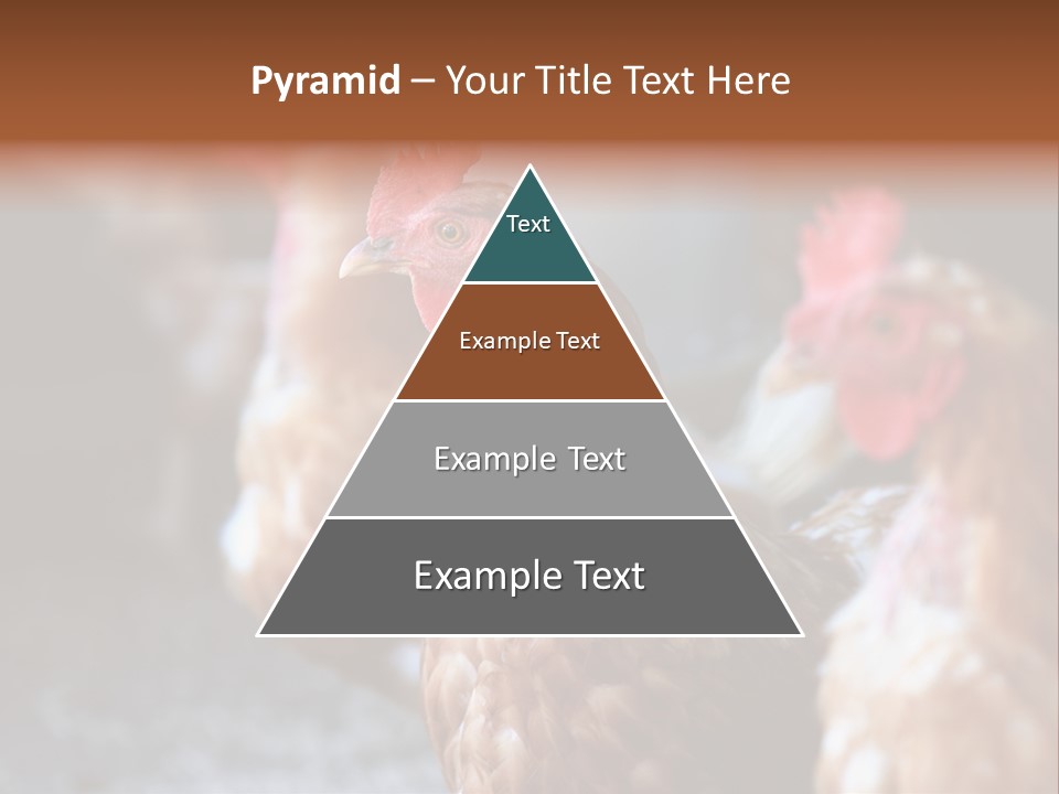 Egg Animal Leg PowerPoint Template