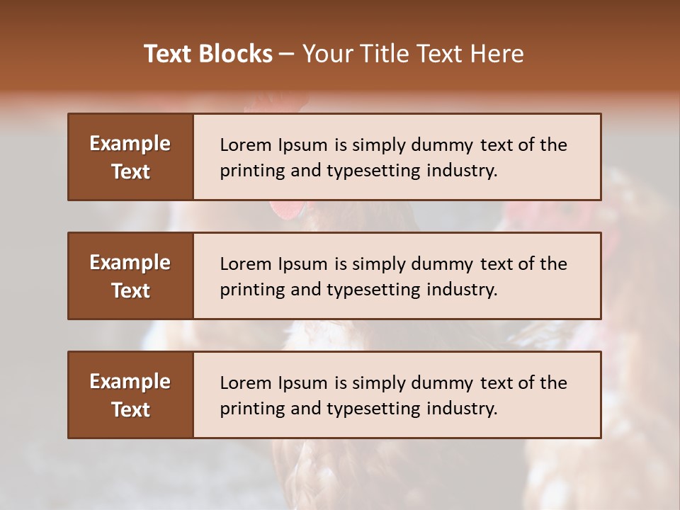 Egg Animal Leg PowerPoint Template
