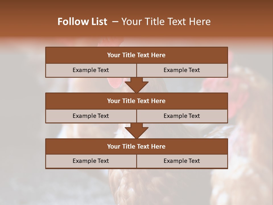 Egg Animal Leg PowerPoint Template