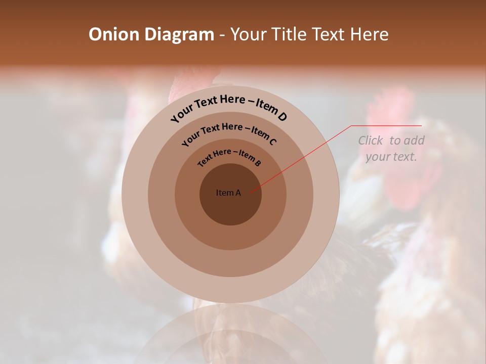 Egg Animal Leg PowerPoint Template