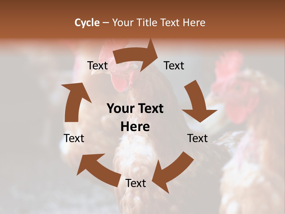 Egg Animal Leg PowerPoint Template